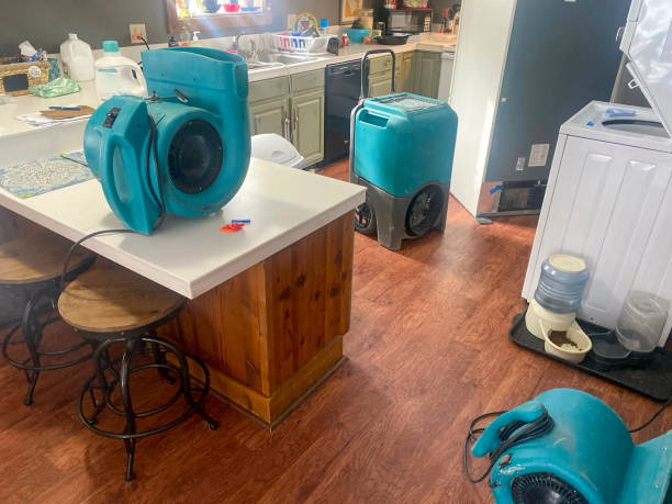 Best Flood damage cleanup  in Perryville, MO