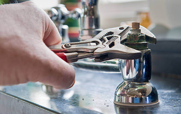 Best Flooded house restoration  in Perryville, MO