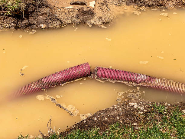 Best Professional water damage repair  in Perryville, MO